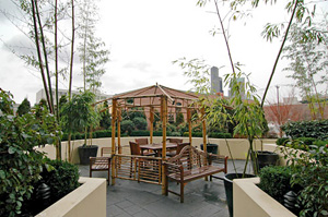 courtyard terrace
