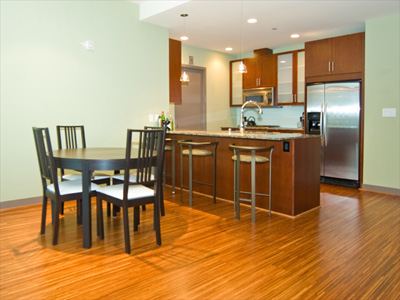 Dining and kitchen