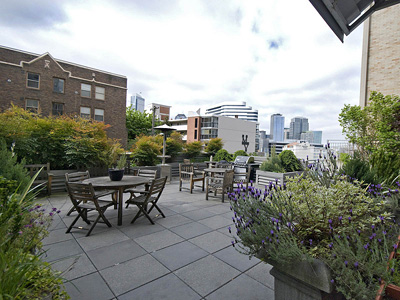 Courtyard w/BBQ